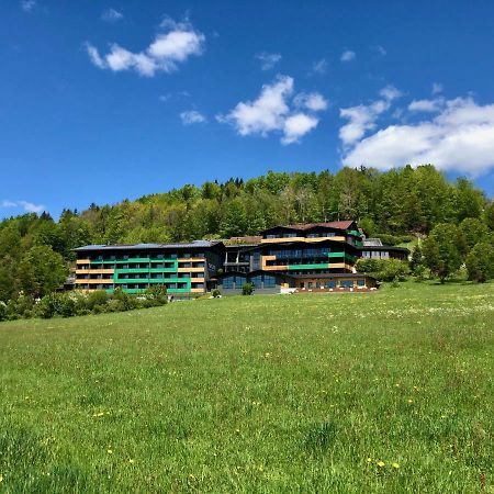 Natura Hotel Bodenmais - Inkl Soft- Und Heissgetraenkeflat Eksteriør bilde